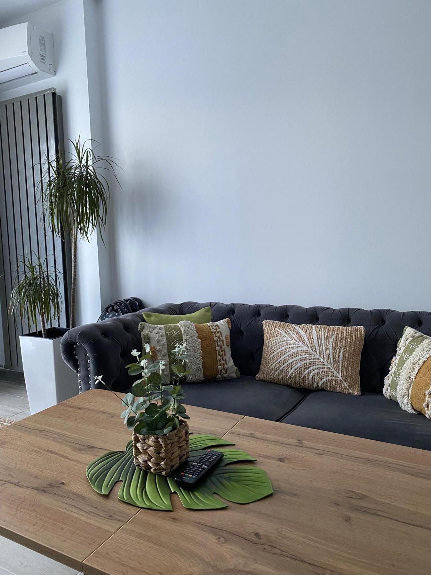 Iako Premium Apartament Năvodari Zewnętrze zdjęcie